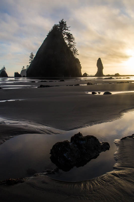 Tidepool And Point Of Arches