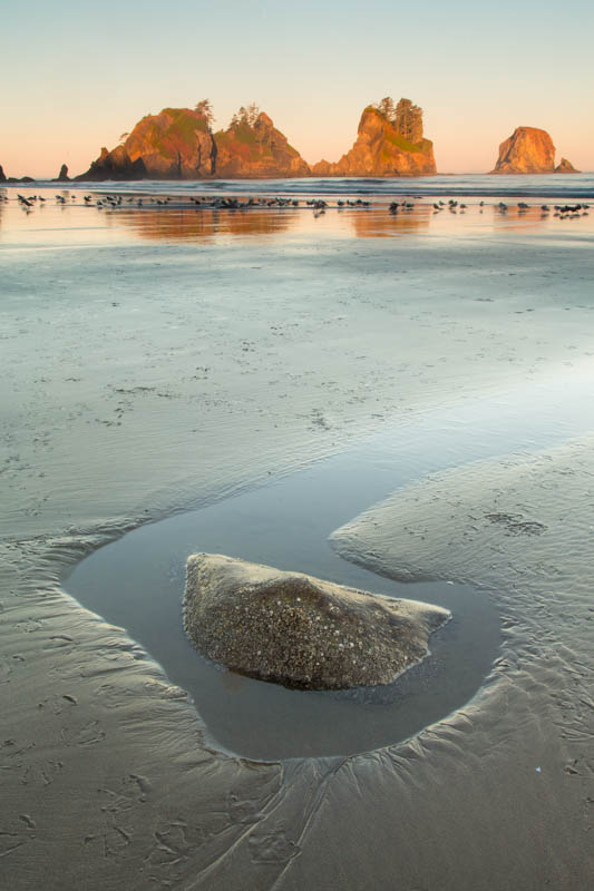 Tidepool And Point Of Arches