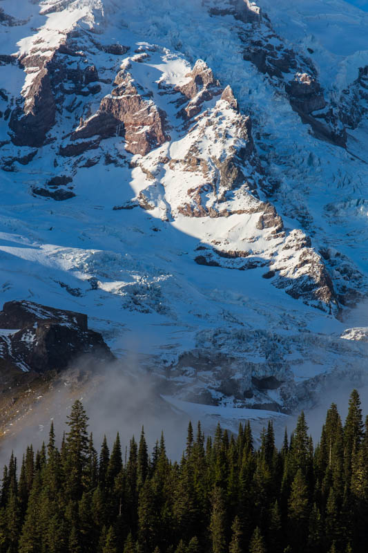 Glacier And Trees