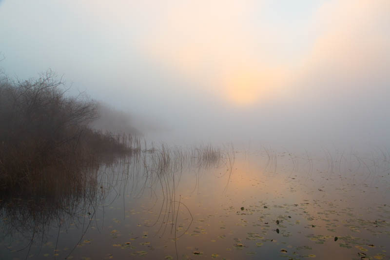 Sunrise Over Lake Sammamish