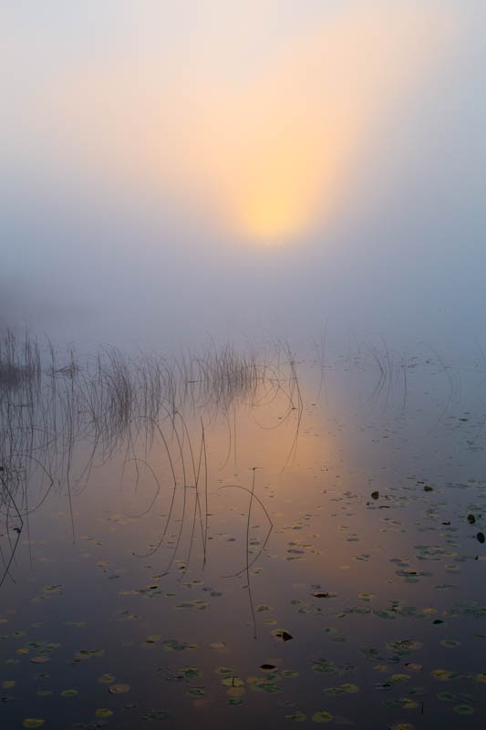 Sunrise Over Lake Sammamish