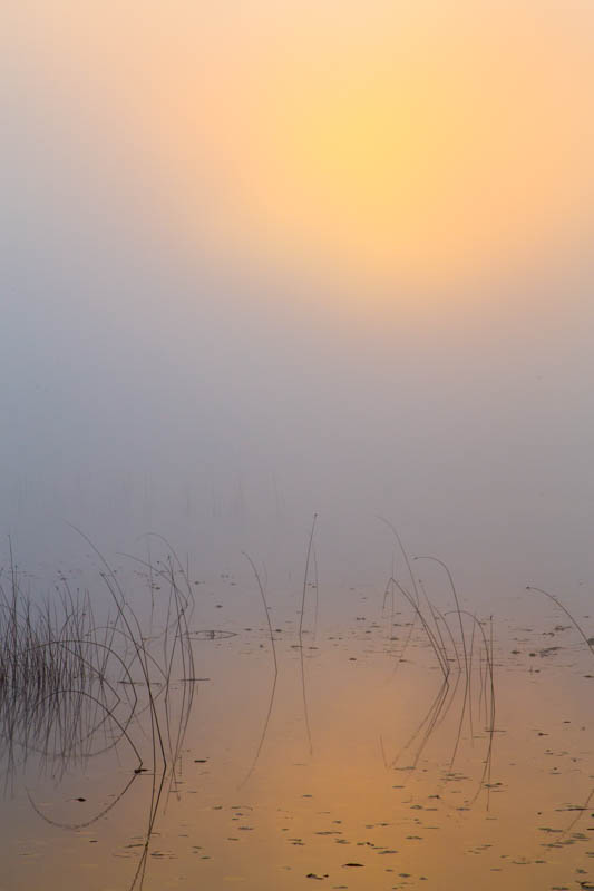 Sunrise Over Lake Sammamish