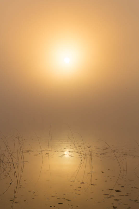 Sunrise Over Lake Sammamish