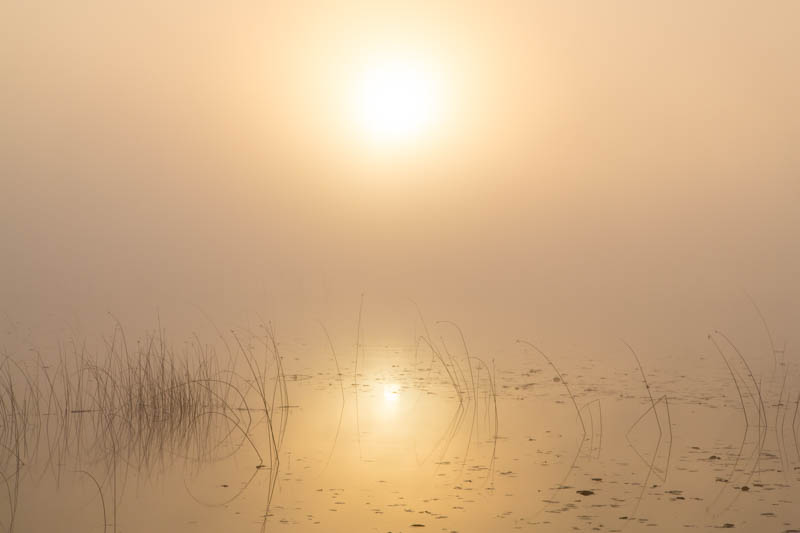 Sunrise Over Lake Sammamish