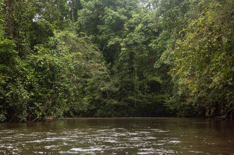 The Melinau River