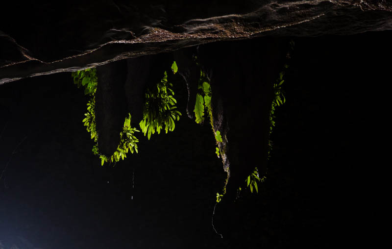 Stalactites