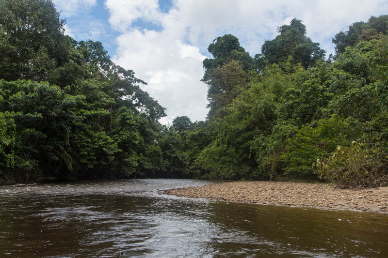 The Melinau River