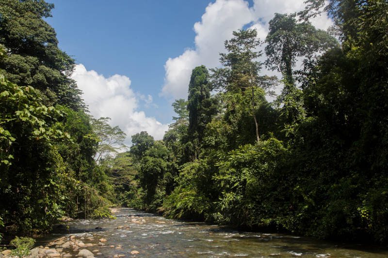 The Melinau River