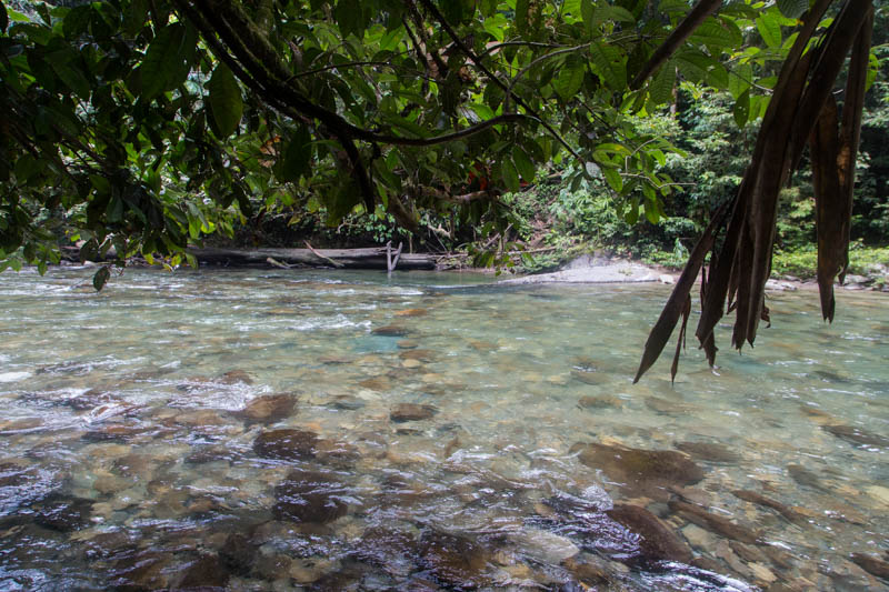 The Melinau River