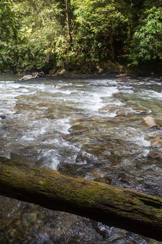 The Melinau River