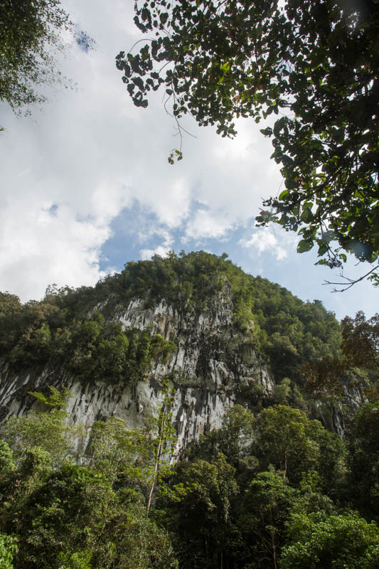 Limestone Cliff