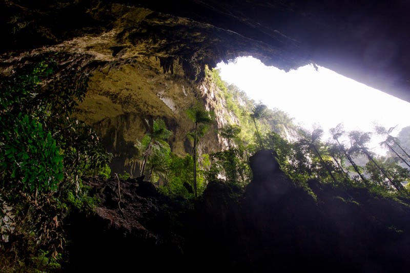 Wind Cave