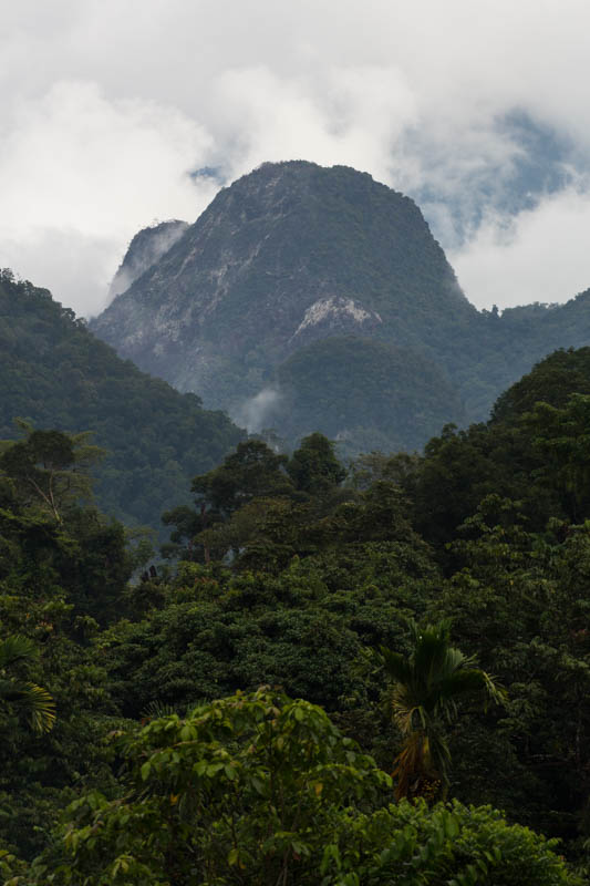 Clouds Above The Mulu Mountains