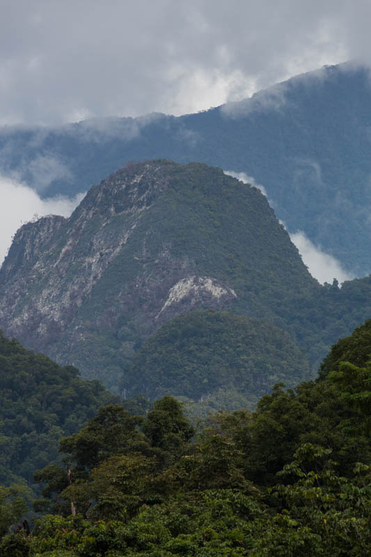 Clouds Above The Mulu Mountains