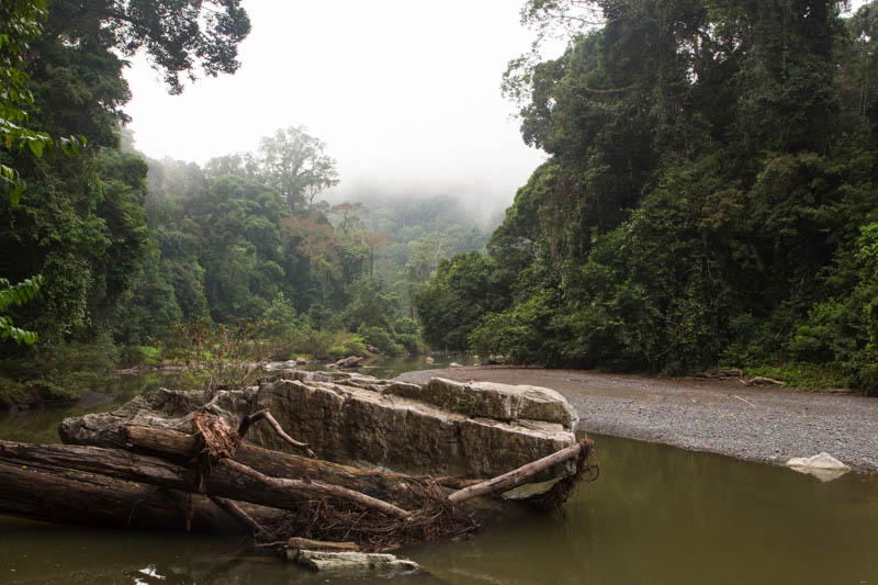 The Danum River