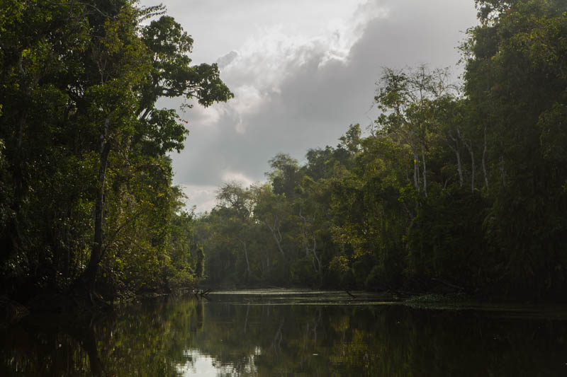 The Kinabatangan River