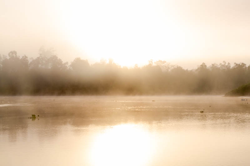 Sunrise On The Kinabatangan River