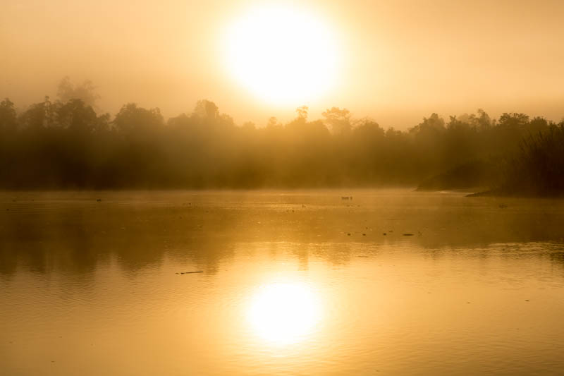 Sunrise On The Kinabatangan River