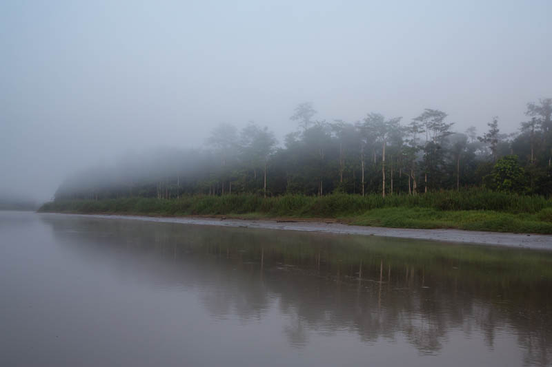 Banks Of The Kinabatagan RIver Shrouded In Fog