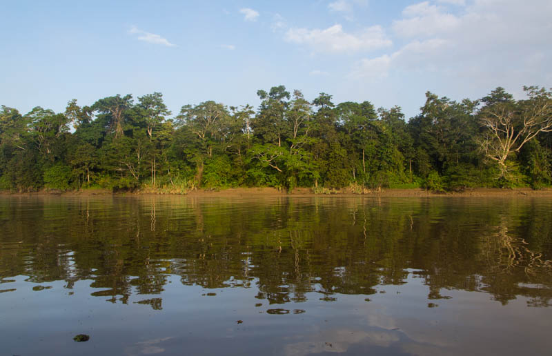 The Kinabatangan River