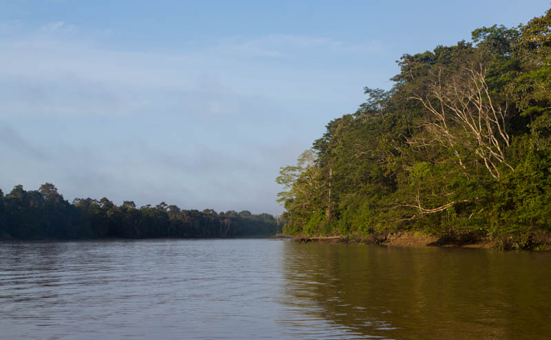 The Kinabatangan River