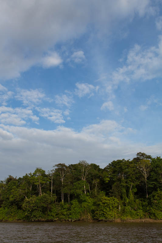 The Kinabatangan River