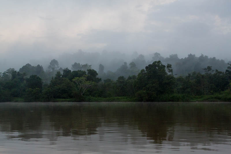 MIst Over The Kinabatangan River