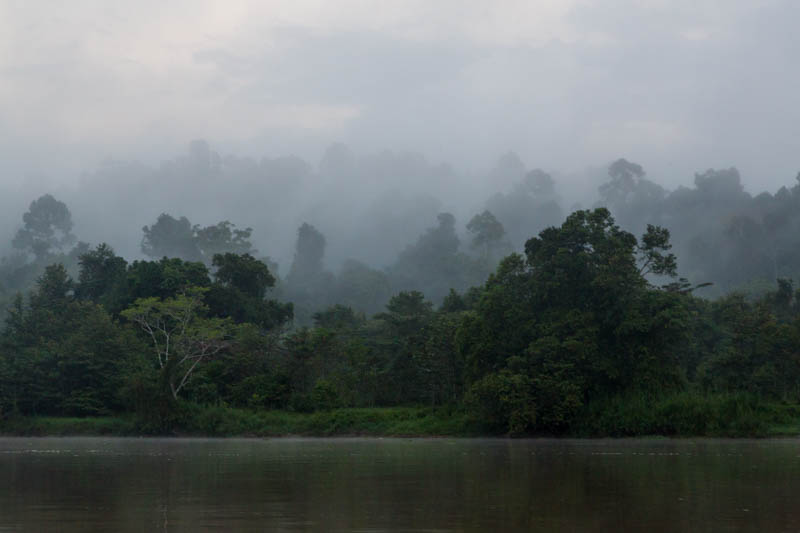 MIst Over The Kinabatangan River