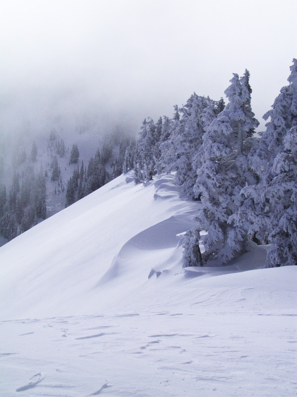 Snow Covered Ridgeline